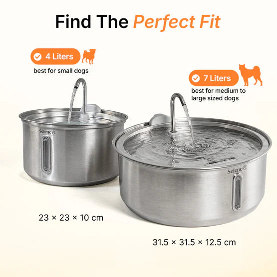 The Doggy Fountain™